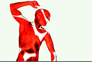 AL_KarinCabrera_S06_MD_Proj+Photo_201702151126AL31e_RBC_Fragmentation