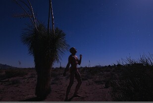 AL_APNM1_S03_NM_4261_r_WaveringInTheMoonlight