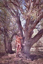 AL_APNM1_S02_NM_4228_ALcr_RLLWm