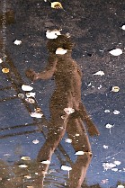 AL_AndrewGraham_S01_CT_0496_r