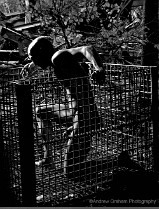 AL_AndrewGraham_S01_CT_0639_r