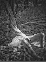 AL_KarlWesley_S02_MD_SevernRR_001h_ALe_Patch_of_Avid_Light