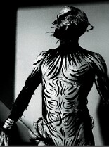 AL_DortchDESIGNS_S05_VA_Bodypaint+Photo_Pure-Gilded_312_e