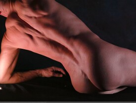 AL_ALM_S059_Online_Theme-WildLight2_04_2m_!SSref_6567c