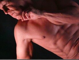 AL_ALM_S059_Online_Theme-WildLight2_05_2m_!SSref_6569c2