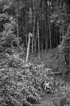 AL_DokWright_S01_VT_1220_LR_ALqe
